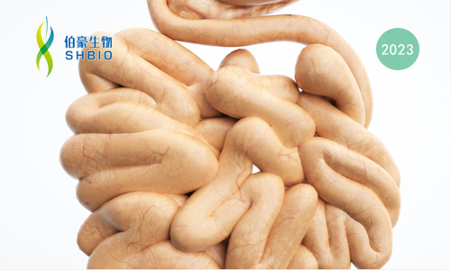 mRNA-seq 项目文章 | 小肠类器官治疗缺血性肠损伤的作用及机制研究