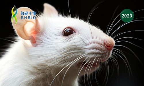 ​Sci Adv| 基于高通量单细胞分析揭示小鼠整个生命周期的线粒体 DNA 异质性