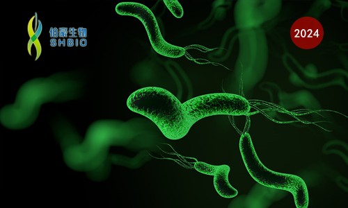 CRISPR 智库 | CRISPR 关注宠物健康——人畜共患幽门螺杆菌现场快速检