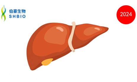 文献解读 | 人肝脏单核 RNA 测序表明 BMPR2、GDF15、精氨酸和雌激素与门脉高压有关