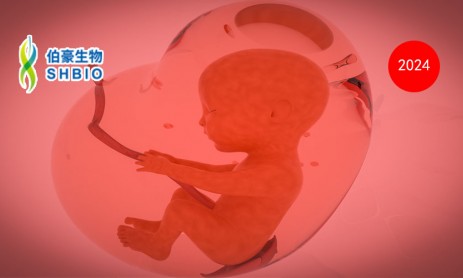 文献解读 | TBX3 控制胎盘发育早期绒毛中的关键滋养层谱系