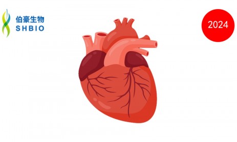 文献解读 | 单细胞基因组学有助于发现房颤的风险变异和基因