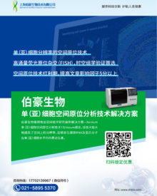 单页 | 单（亚）细胞空间原位分析技术