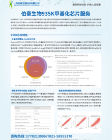 单页 |935K 甲基化芯片服务