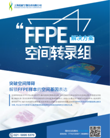 单页 |FFPE 空间转录组
