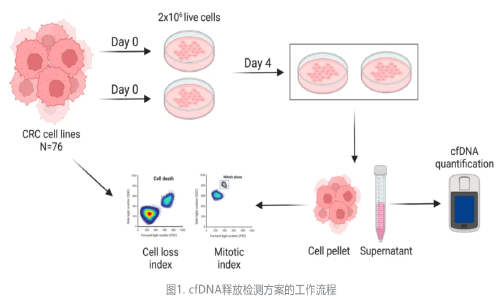 Genome Med | 首次揭示 DNA 去甲基化可促进结直肠癌细胞释放 cfDNA，或可提高液体活检的灵敏度