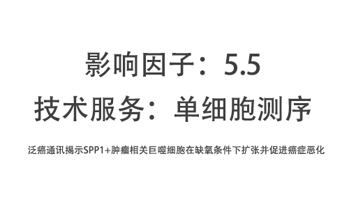 文献解读 | 泛癌通讯揭示 SPP1+ 肿瘤相关巨噬细胞在缺氧条件下扩张并促进癌症恶化