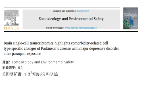 项目文章 | 脑单细胞转录组学结果揭示了：百草枯对帕金森病伴重度抑郁症的共病相关细胞类型特异性变化的影响