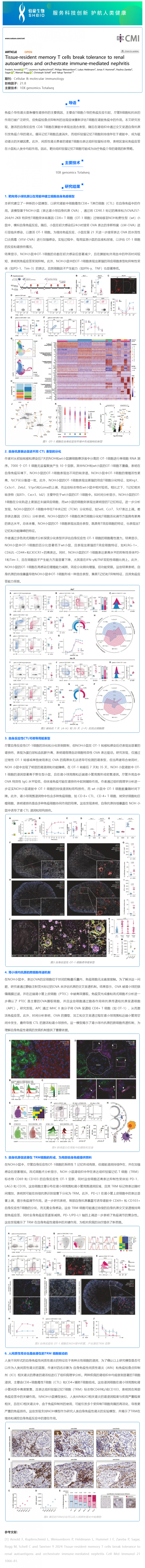 文献解读 _ 组织驻留记忆 T 细胞参与免疫介导的肾炎