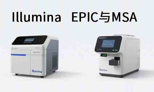 甲基化芯片平台怎么选？Illumina EPIC 与 MSA 的全面对比与应用指南