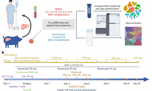 八月高分文献速递 | 空间转录组系列