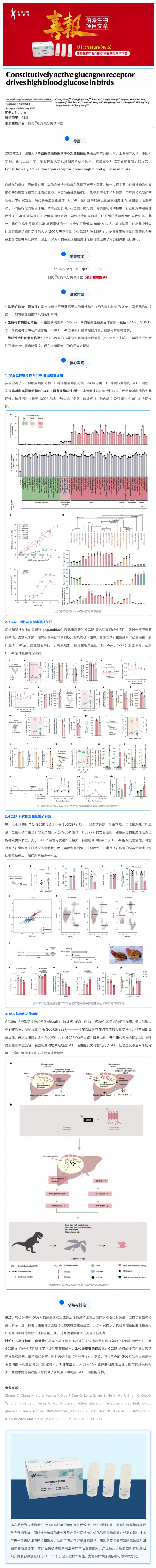 Nature 主刊项目文章 | 组成型活性胰高血糖素受体驱动鸟类高血糖