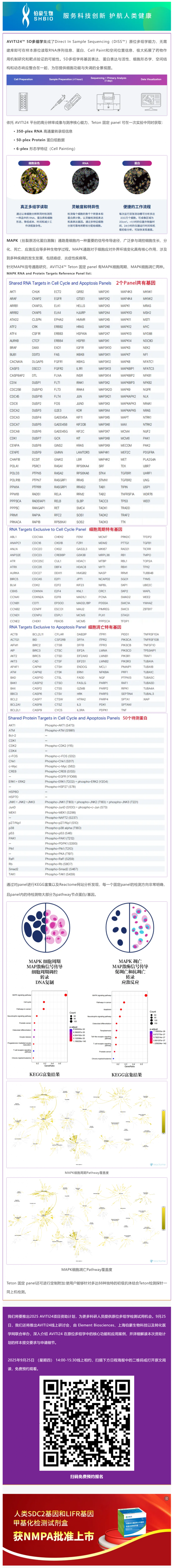5D 原位多组学 AVITI24 靶向 panel——MAPK 细胞周期_细胞凋亡信号通路 panel