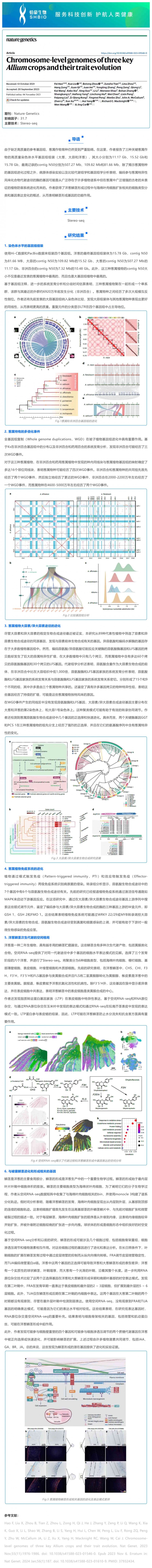 文献解读︱三种主要葱属作物的染色体水平基因组及其性状进化