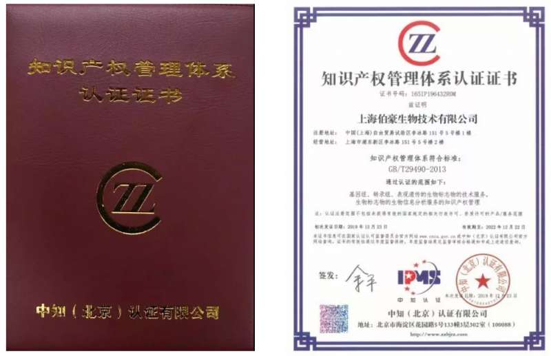 九游平台官网荣获知识产权管理体系认证证书