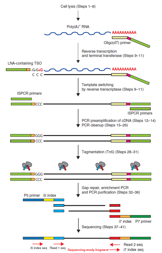 九游平台官网单细胞 RNA 测序服务 SMART-seq2 技术原理