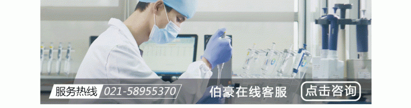 更多人工服务九游平台官网客户服务人工服务
