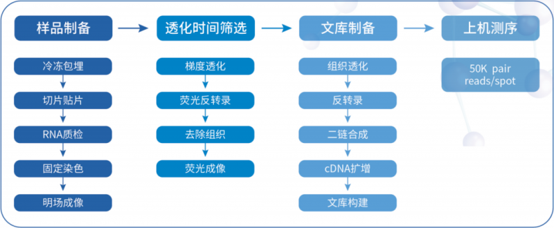  九游平台官网空间转录组测序流程 