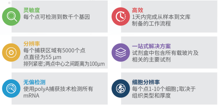 九游平台官网空间转录组测序