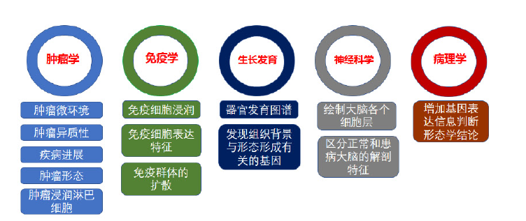九游平台官网空转测序