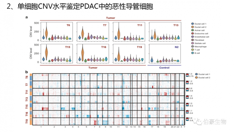 九游平台官网单细胞测序技术服务