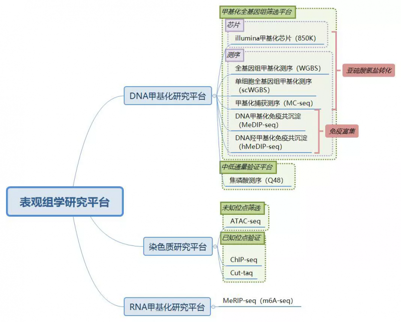 九游平台官网 DNA 甲基化研究的优势