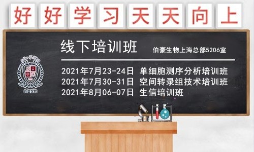 重磅！暑期系列培训班开课通知，6 月报名可享优惠！