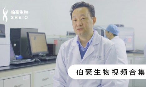 视频合集 | 九游平台官网