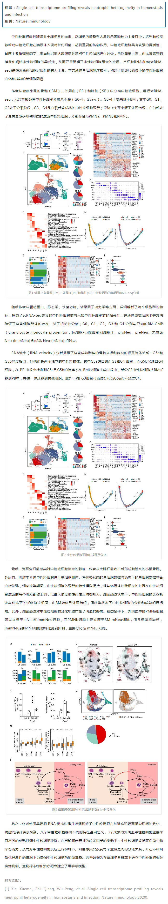 文献解读_单细胞 RNA 测序揭示健康和细菌感染小鼠中的中性粒细胞异质性