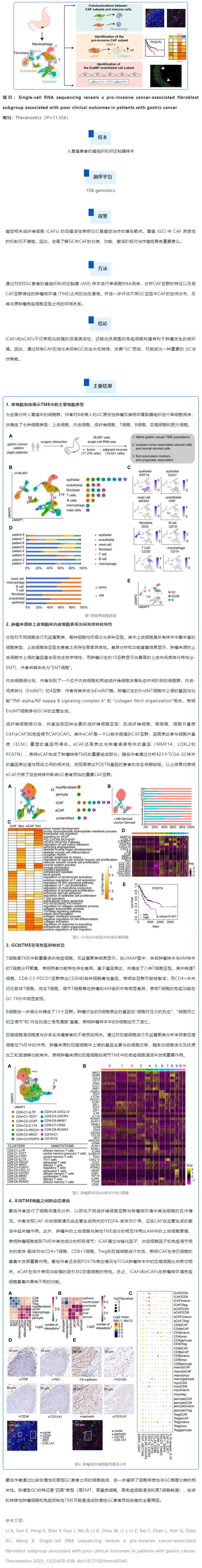 文献解读_单细胞 RNA 测序揭示癌症相关成纤维细胞在胃癌肿瘤微环境中的特征