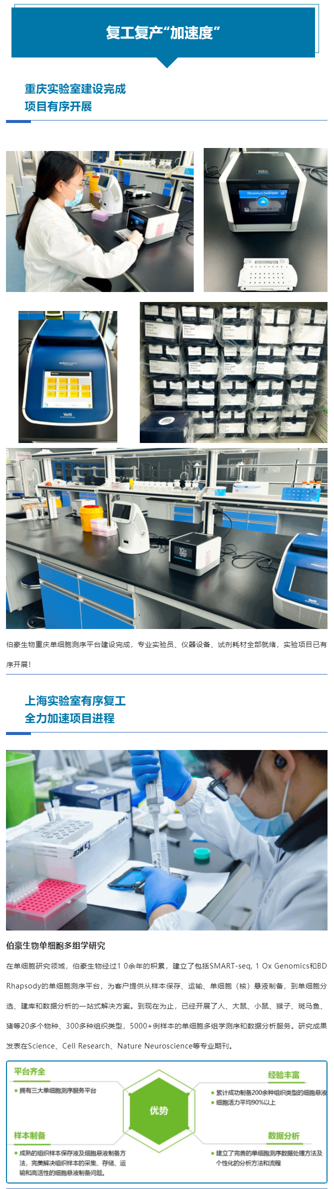 上海重庆齐头并进，全力以“复”跑出复工复产“加速度”