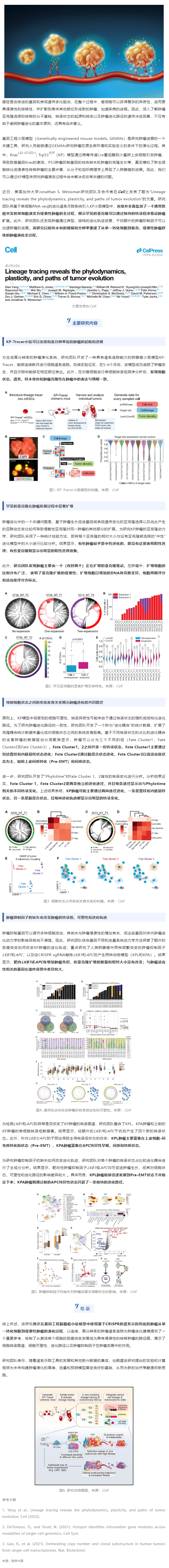 Cell| 首次大规模高分辨率揭示从一个携带致癌突变的单细胞演变为侵袭性肿瘤的全过程
