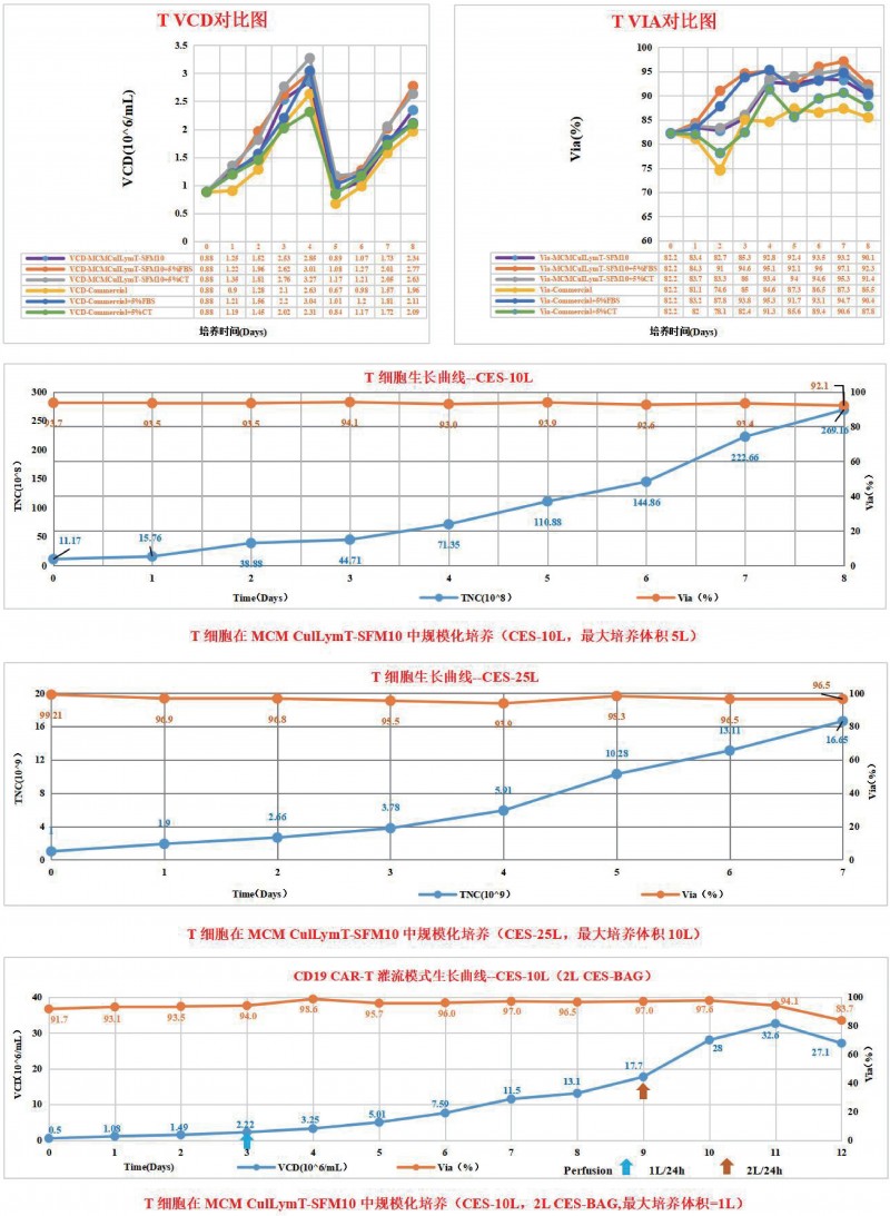 T 淋巴细胞无血清培养基产品性能