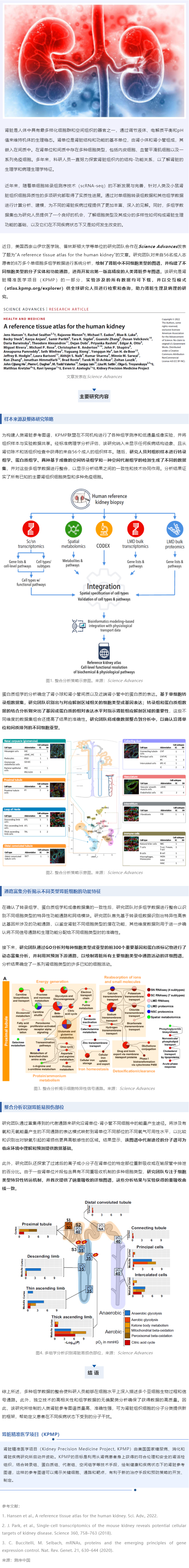 Sci Adv _ 基于 8 万 + 单细胞多组学数据成功绘制第一版高精度人类肾脏参考图谱