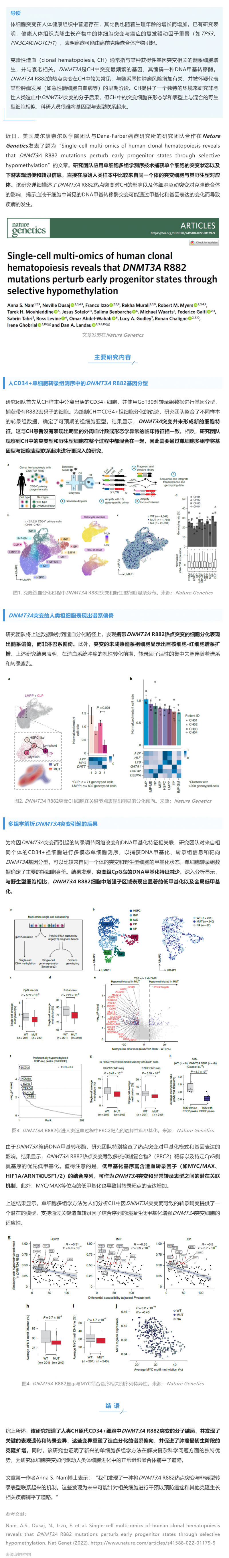 Nat Genet _ 基于单细胞多组学技术解析 DNMT3A R882 突变在人类克隆造血中的影响