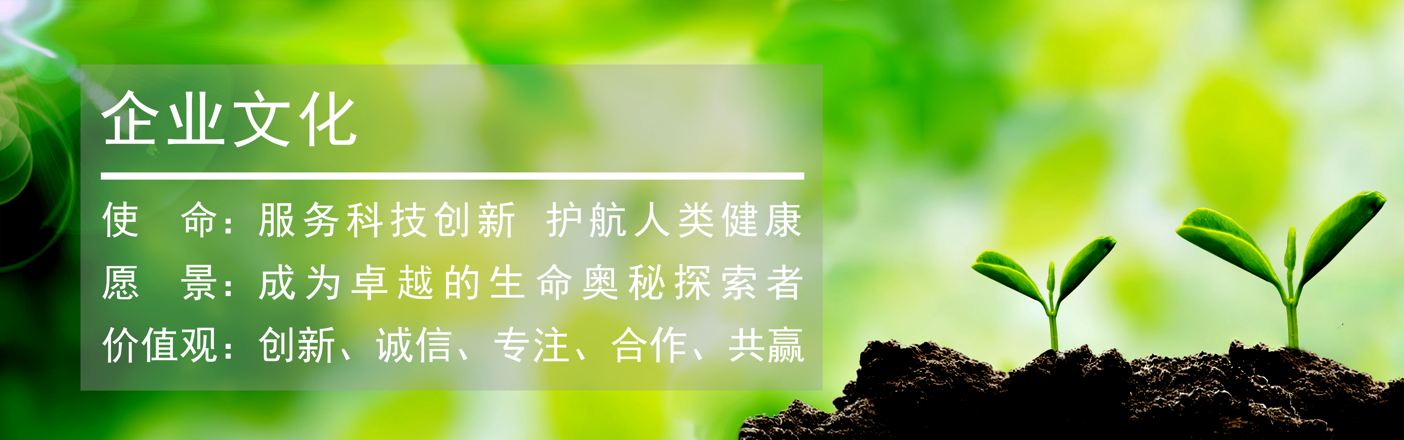 九游平台官网企业文化茁壮生长