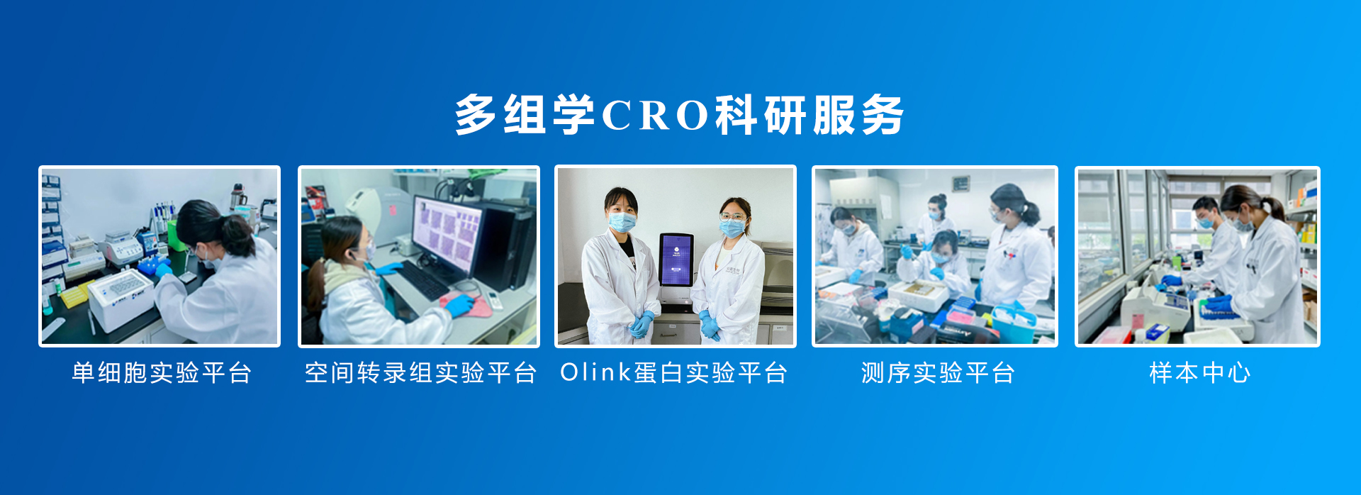 九游平台官网 CRO 服务内容