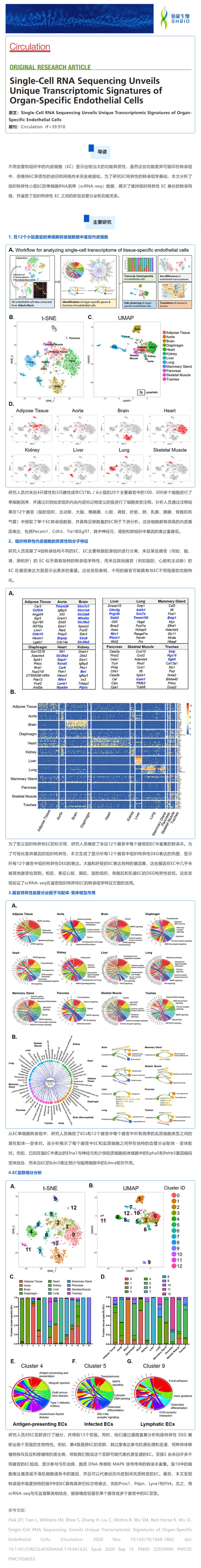 单细胞测序揭示器官特异性内皮细胞的独特转录组学特征