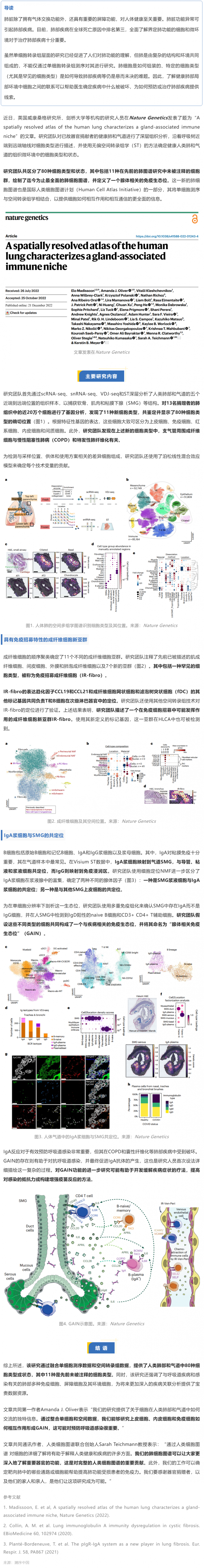 Nat Genet 发布迄今最全面的人类肺细胞空间图谱，首次揭示腺体相关的免疫生态位
