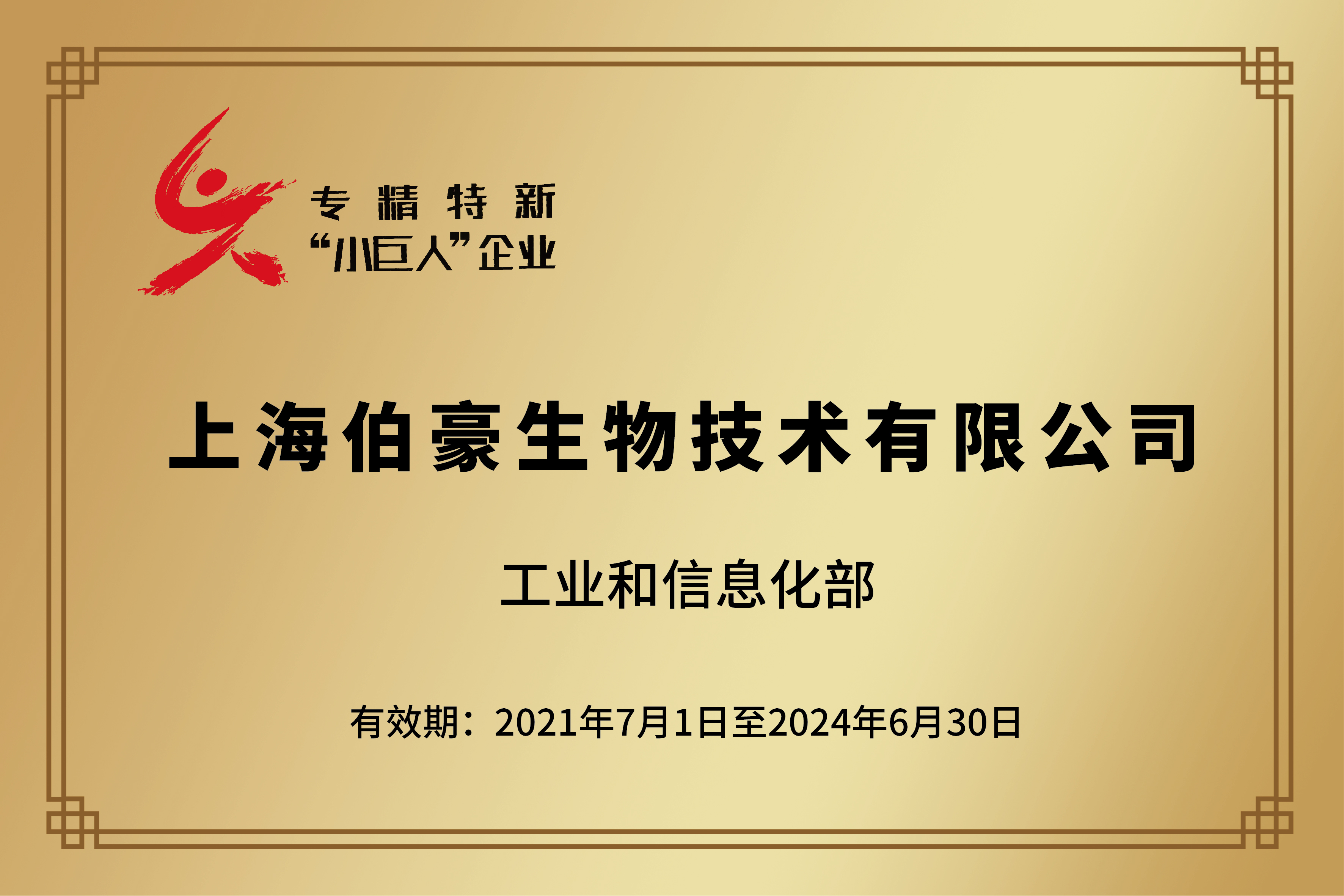 国家级专精特新“小巨人”企业