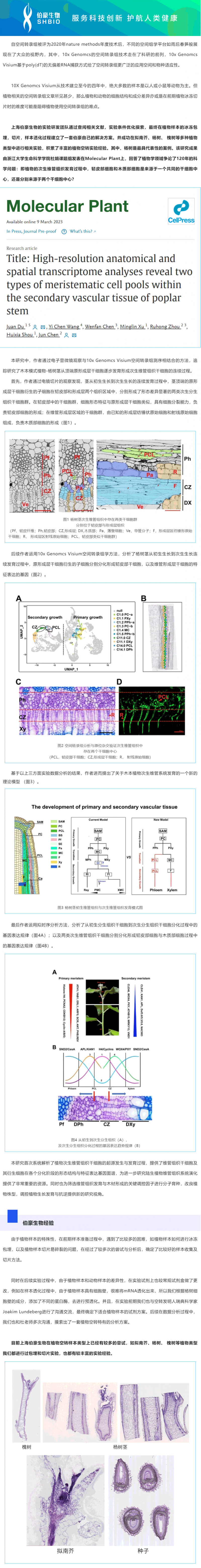 2023-03-17- 空转植物项目文章_九游平台官网助力浙江大学生命科学学院杜娟课题组报道植物维管组织结构与发育研究领域新进展