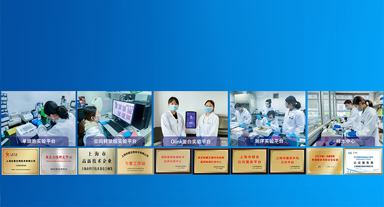 九游平台官网 服务科技创新，护航人类健康！www.bloga8.com