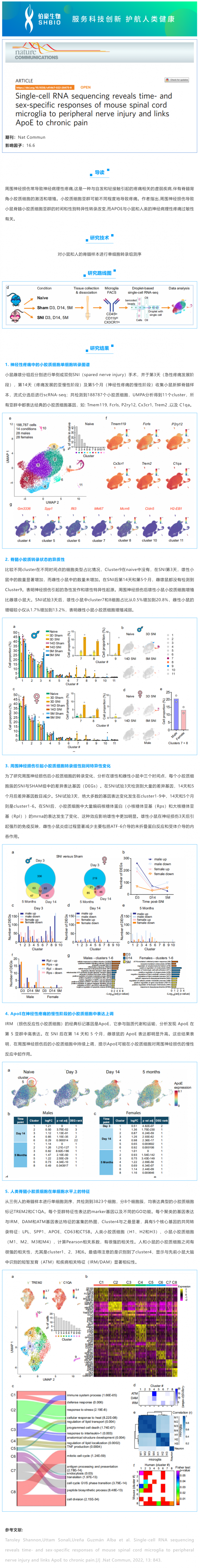 文献解读_单细胞 RNA 测序揭示了小鼠脊髓小胶质细胞对周围神经损伤的时间和性别特异性反应，并将 ApoE