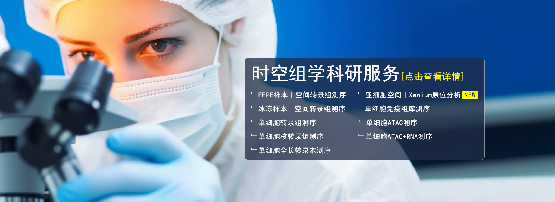 时空组学科研服务