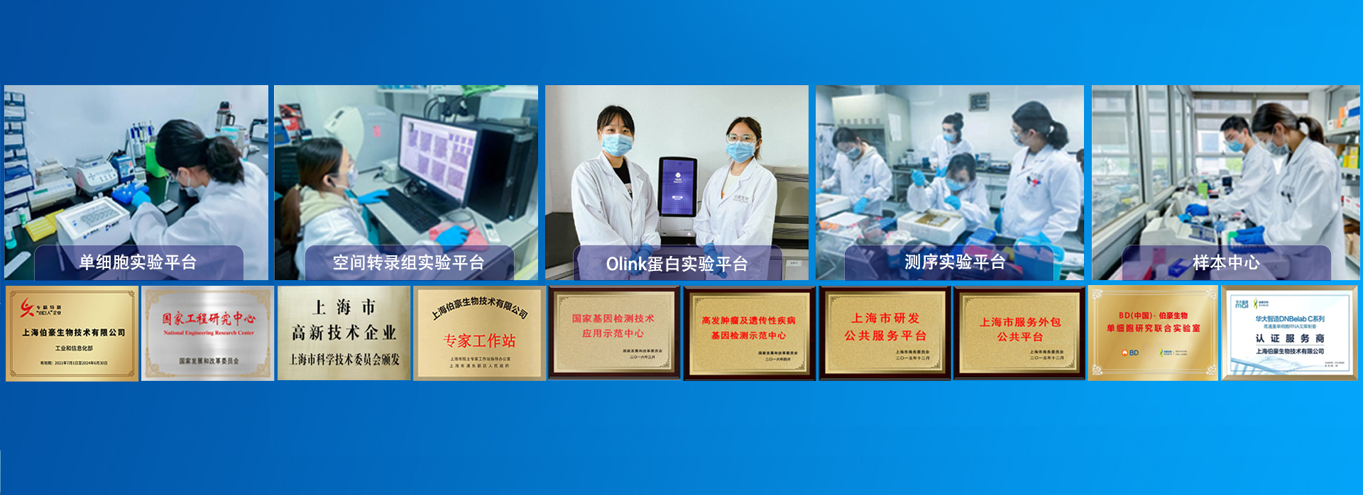 多组学科研技术服务