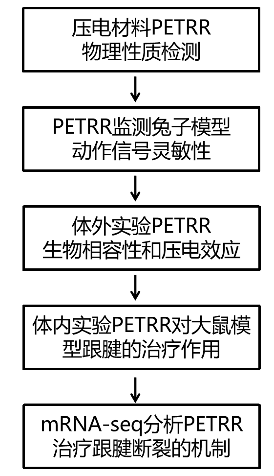 九游平台官网研究设计 mRNA-seq 项目文章