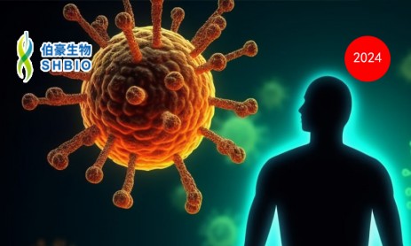 2024 豪享直播 | 时空组学技术在免疫机制研究中的应用