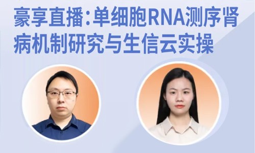 豪享直播 | 单细胞 RNA 测序肾病机制研究与生信云实操