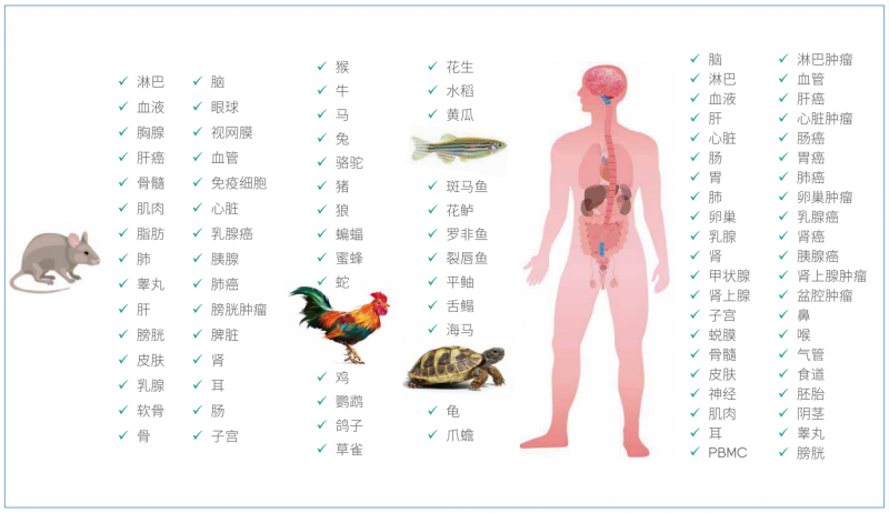  九游平台官网华大设备单细胞测序适用样本类型 