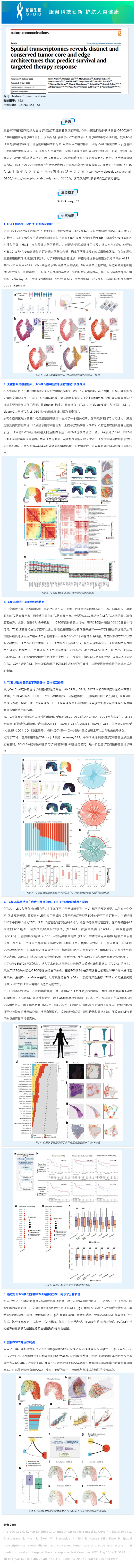 531 文献解读 _ 空间转录组学揭示了独特和保守的肿瘤核心和边缘结构，预测生存和靶向治疗反应